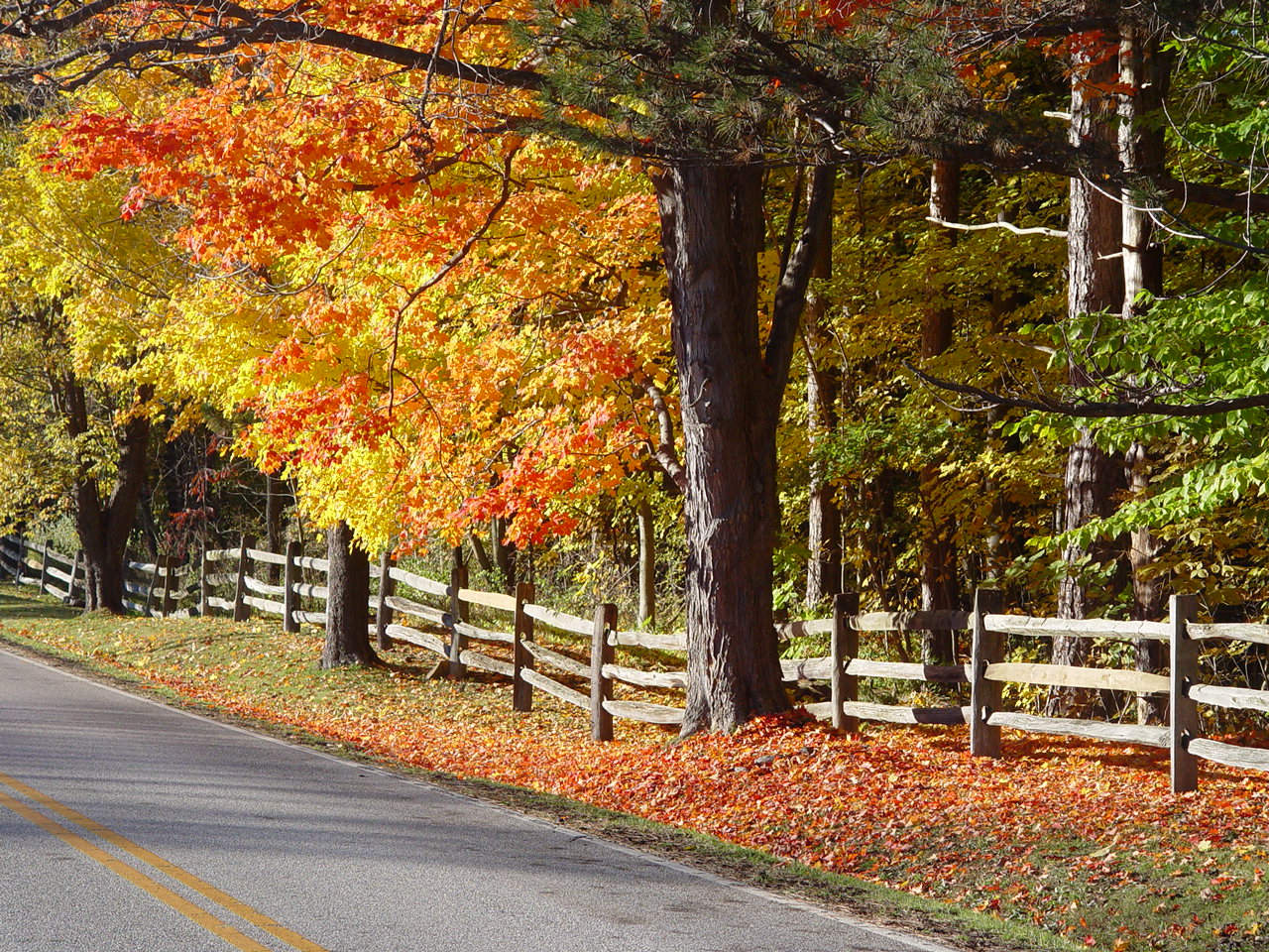 country-road-in-autumn-1173303 Ballon gonflable dans une piscine